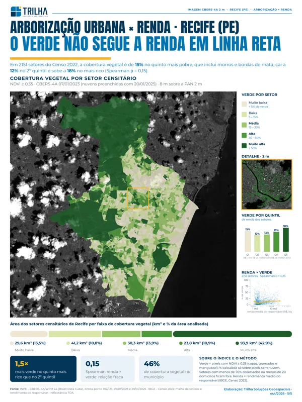 Arborização e renda
